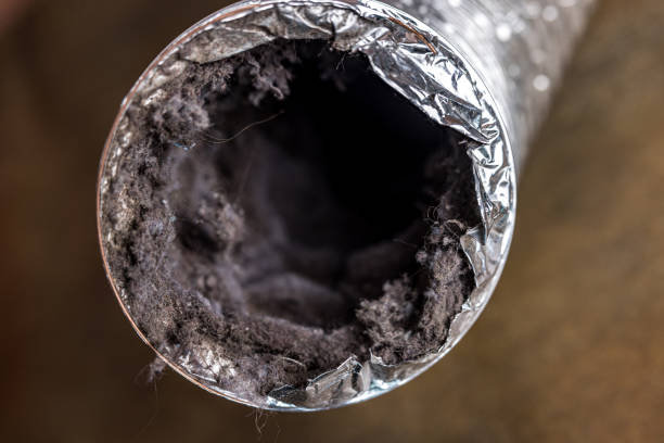 Best Affordable Duct Cleaning Services  in Bensenvle, IL