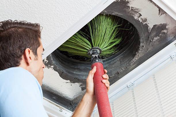 Best Air Vent Cleaning Services  in Bensenvle, IL